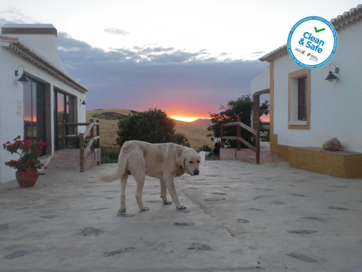 Horta Da Quinta Guest House แมร์โตลา ภายนอก รูปภาพ