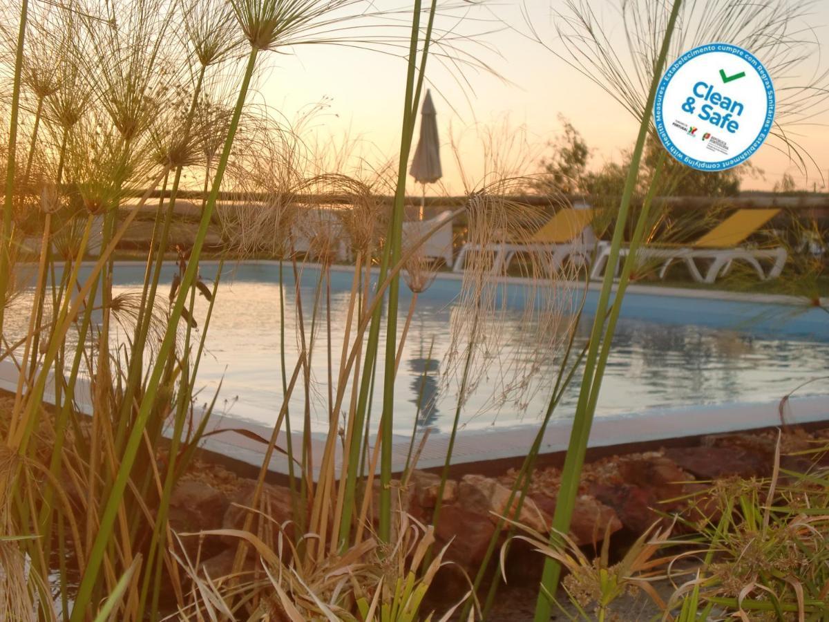 Horta Da Quinta Guest House แมร์โตลา ภายนอก รูปภาพ