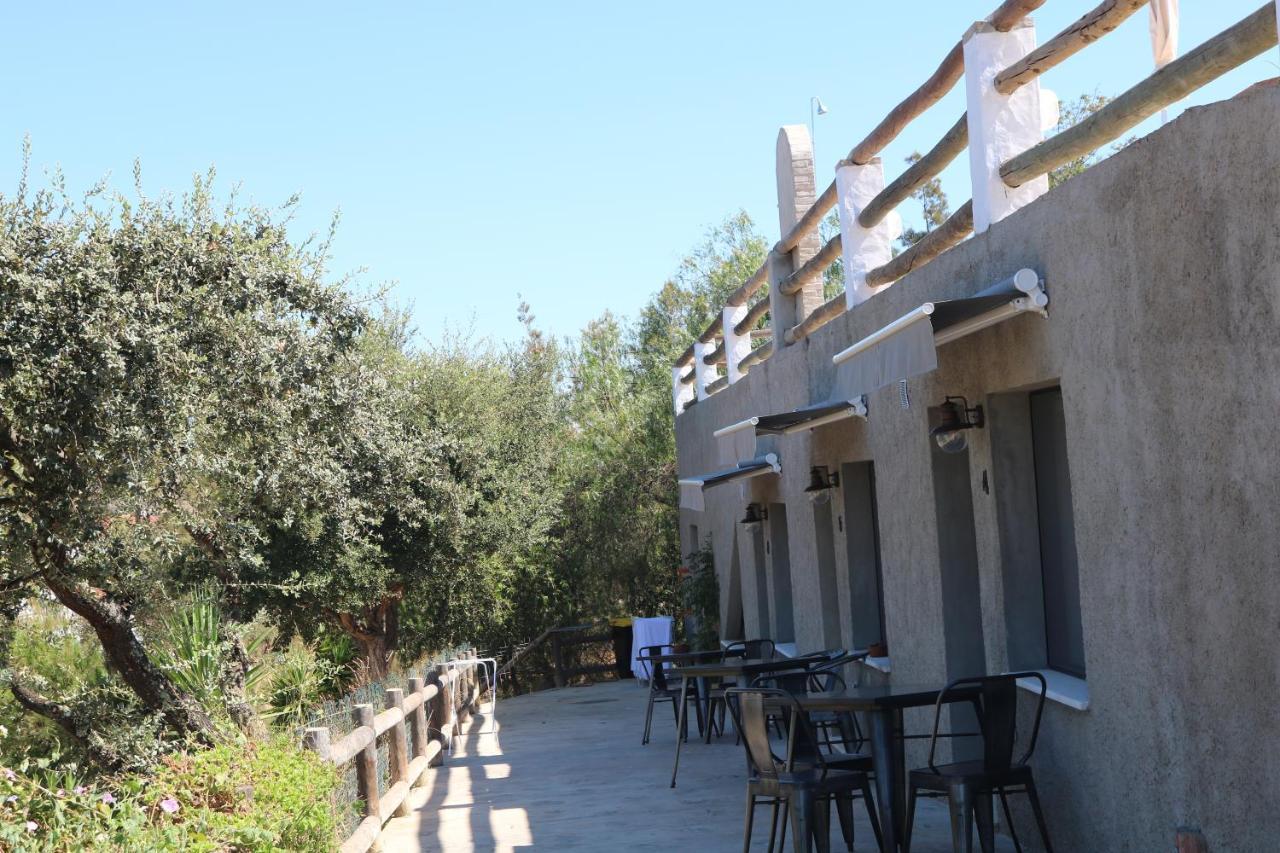 Horta Da Quinta Guest House แมร์โตลา ภายนอก รูปภาพ