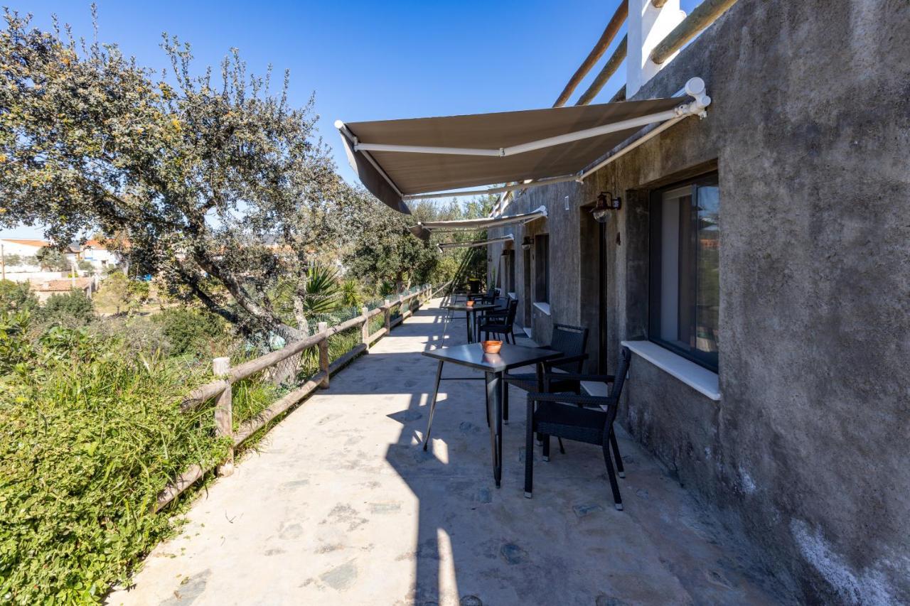 Horta Da Quinta Guest House แมร์โตลา ภายนอก รูปภาพ