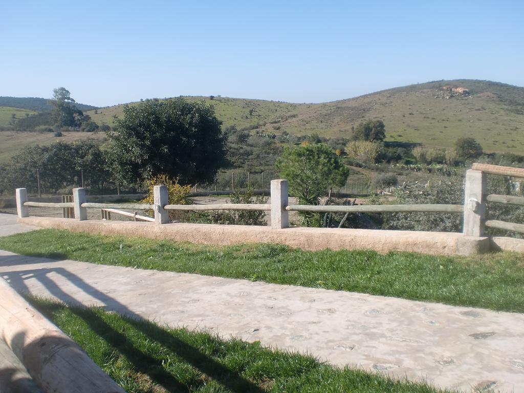 Horta Da Quinta Guest House แมร์โตลา ภายนอก รูปภาพ